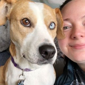 Meet your Posher, Natalie